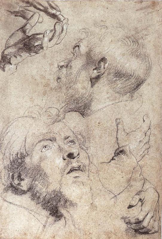 Peter Paul Rubens Four hand and two man-s head portrait oil painting picture